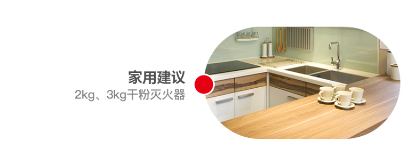 手提式干粉滅火器(圖5)